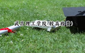 2024武昌理工学院(较高收费)录取分数线：河南最低439分