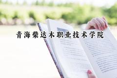 2024青海柴达木职业技术学院录取分数线：云南最低235分