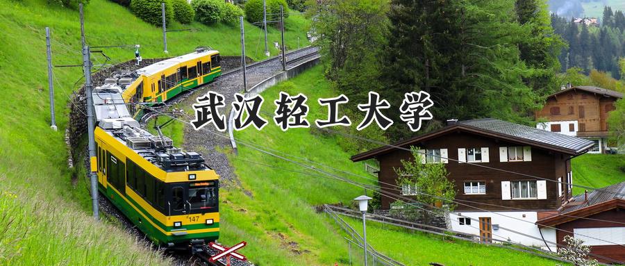 武汉轻工大学