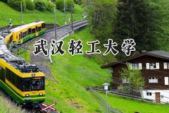 2024武汉轻工大学录取分数线：陕西最低472分
