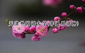 2024天津外国语大学(非通用语种)录取分数线：河南最低516分