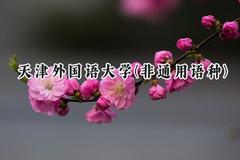 2024天津外国语大学(非通用语种)录取分数线：河南最低516分