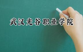 2024武汉光谷职业学院录取分数线：河南最低270分