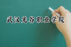2024武汉光谷职业学院录取分数线：河南最低270分