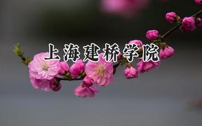 2024上海建桥学院录取分数线：云南最低388分