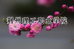 2024荆州理工职业学院录取分数线：陕西最低313分