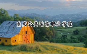 2024重庆公共运输职业学院录取分数线：云南最低285分