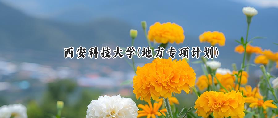 西安科技大学(地方专项计划)
