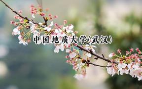 2024中国地质大学(武汉)录取分数线：陕西最低555分
