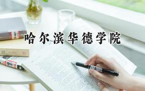 2024哈尔滨华德学院录取分数线：云南最低382分