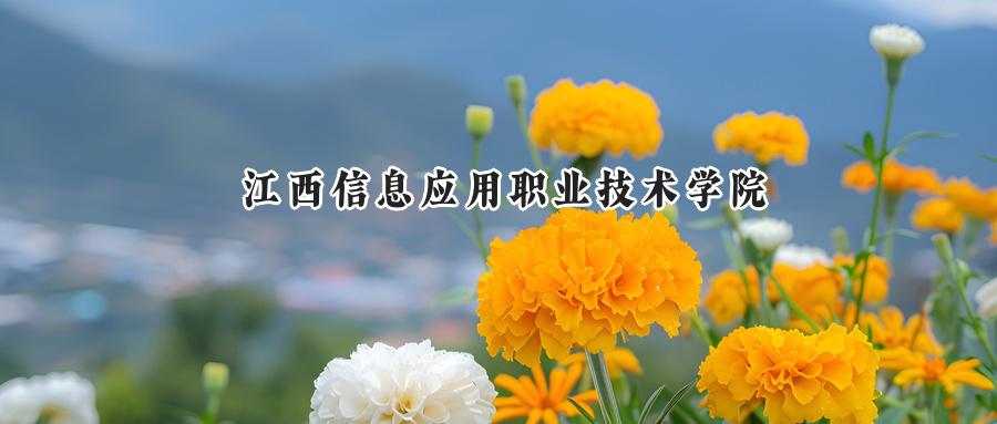 江西信息应用职业技术学院