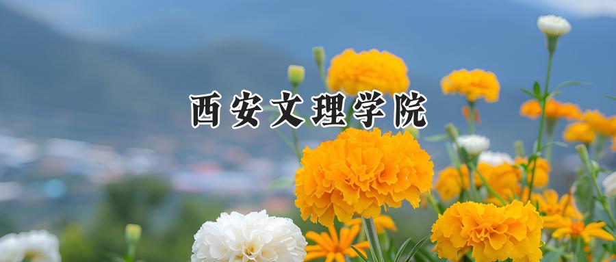 西安文理学院