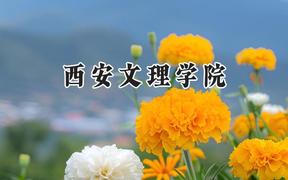 2024西安文理学院录取分数线：云南最低483分