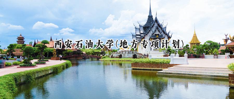 西安石油大学(地方专项计划)