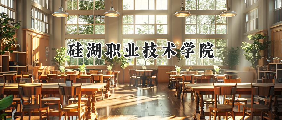 硅湖职业技术学院