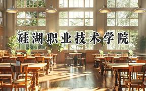2024硅湖职业技术学院录取分数线：陕西最低247分
