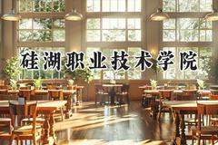 2024硅湖职业技术学院录取分数线：陕西最低247分