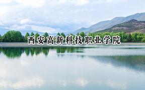 2024西安高新科技职业学院录取分数线：陕西最低285分
