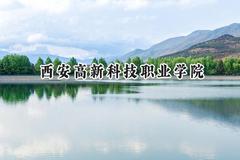 2024西安高新科技职业学院录取分数线：陕西最低285分