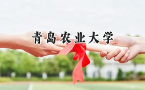 2024青岛农业大学录取分数线：陕西最低455分