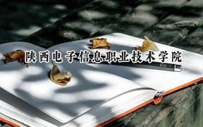 2024陕西电子信息职业技术学院录取分数线：陕西最低312分