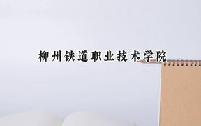 2024柳州铁道职业技术学院录取分数线：河南最低378分