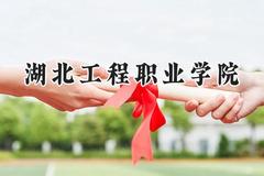 2024湖北工程职业学院录取分数线：河南最低348分