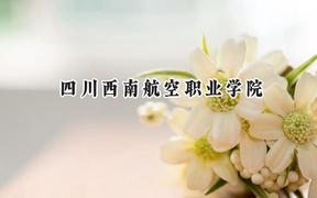 2024四川西南航空职业学院录取分数线：陕西最低301分
