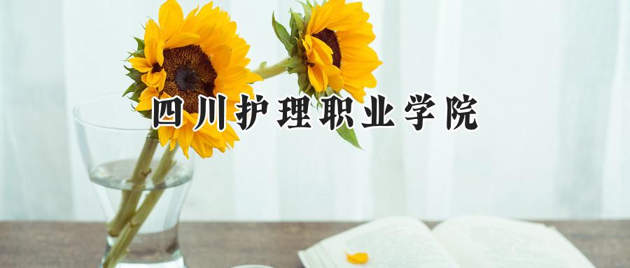 四川护理职业学院