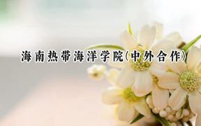 2024海南热带海洋学院(中外合作)录取分数线：河南最低407分