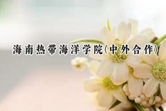 2024海南热带海洋学院(中外合作)录取分数线：河南最低407分