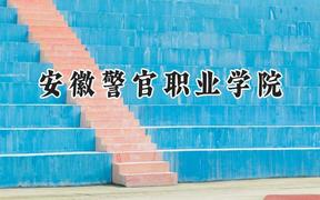 2024安徽警官职业学院录取分数线：河南最低352分