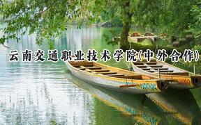 2024云南交通职业技术学院(中外合作)录取分数线：云南最低359分