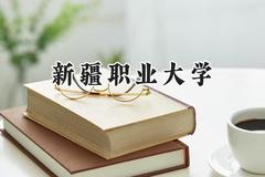 2024新疆职业大学录取分数线：陕西最低316分