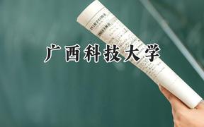 2024广西科技大学录取分数线：云南最低507分