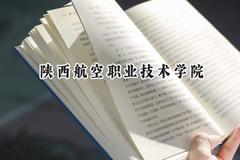 2024陕西航空职业技术学院录取分数线：云南最低372分