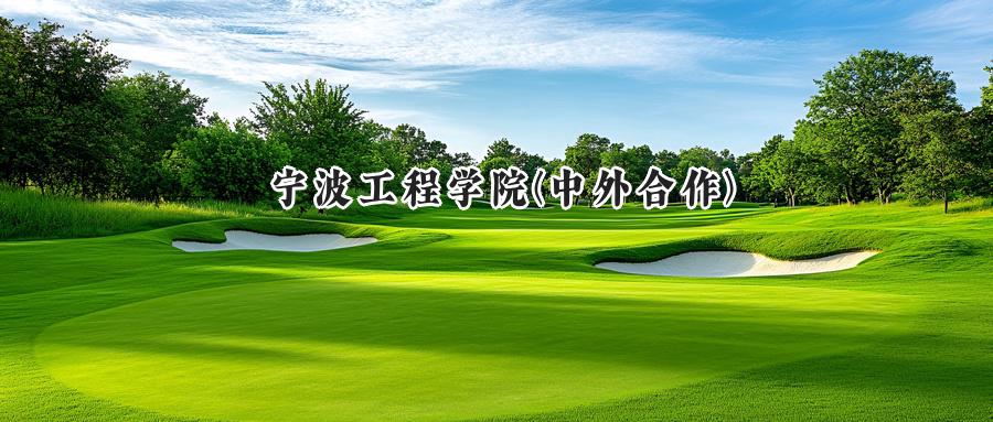 2024宁波工程学院(中外合作)录取分数线：河南最低490分-第1张图片-索考网