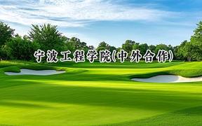 2024宁波工程学院(中外合作)录取分数线：河南最低490分