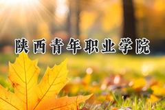 2024陕西青年职业学院录取分数线：陕西最低359分