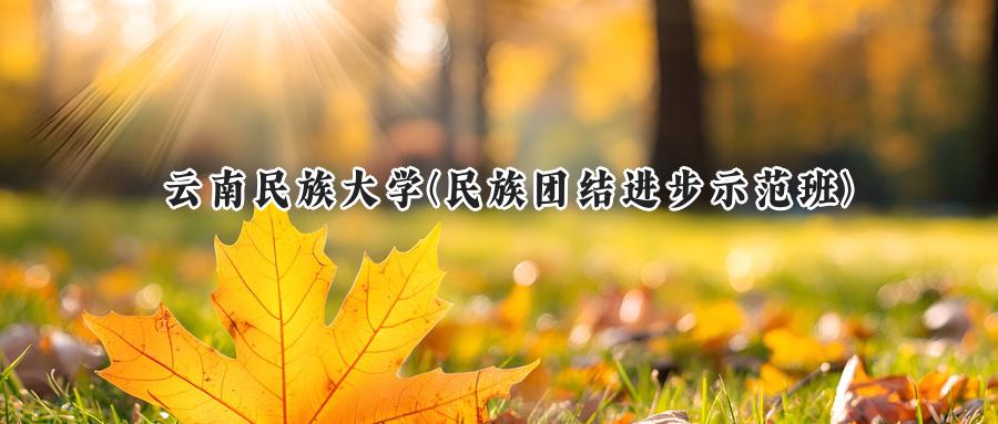 云南民族大学(民族团结进步示范班)