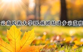 2024云南民族大学(民族团结进步示范班)录取分数线：云南最低504分
