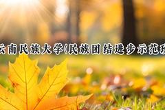 2024云南民族大学(民族团结进步示范班)录取分数线：云南最低504分