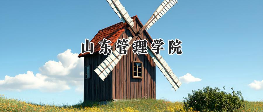 山东管理学院