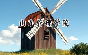 2024山东管理学院录取分数线：河南最低491分