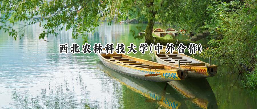 西北农林科技大学(中外合作)