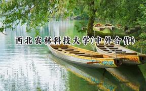 2024西北农林科技大学(中外合作)录取分数线：陕西最低545分