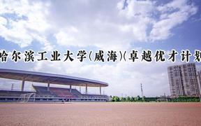 2024哈尔滨工业大学(威海)(卓越优才计划)录取分数线：陕西最低617分