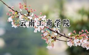 2024云南工商学院录取分数线：陕西最低405分