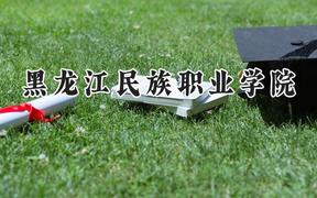 2024黑龙江民族职业学院录取分数线：河南最低170分