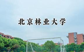 2024北京林业大学录取分数线：云南最低526分